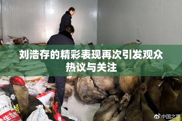 刘浩存的精彩表现再次引发观众热议与关注