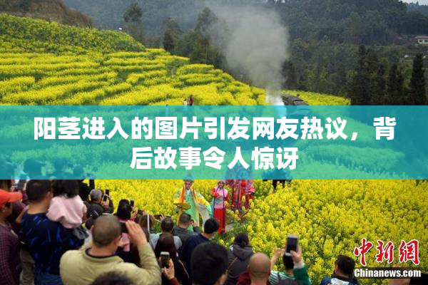 阳茎进入的图片引发网友热议，背后故事令人惊讶