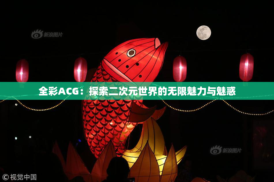 全彩ACG：探索二次元世界的无限魅力与魅惑