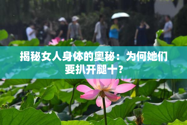 揭秘女人身体的奥秘：为何她们要扒开腿十？