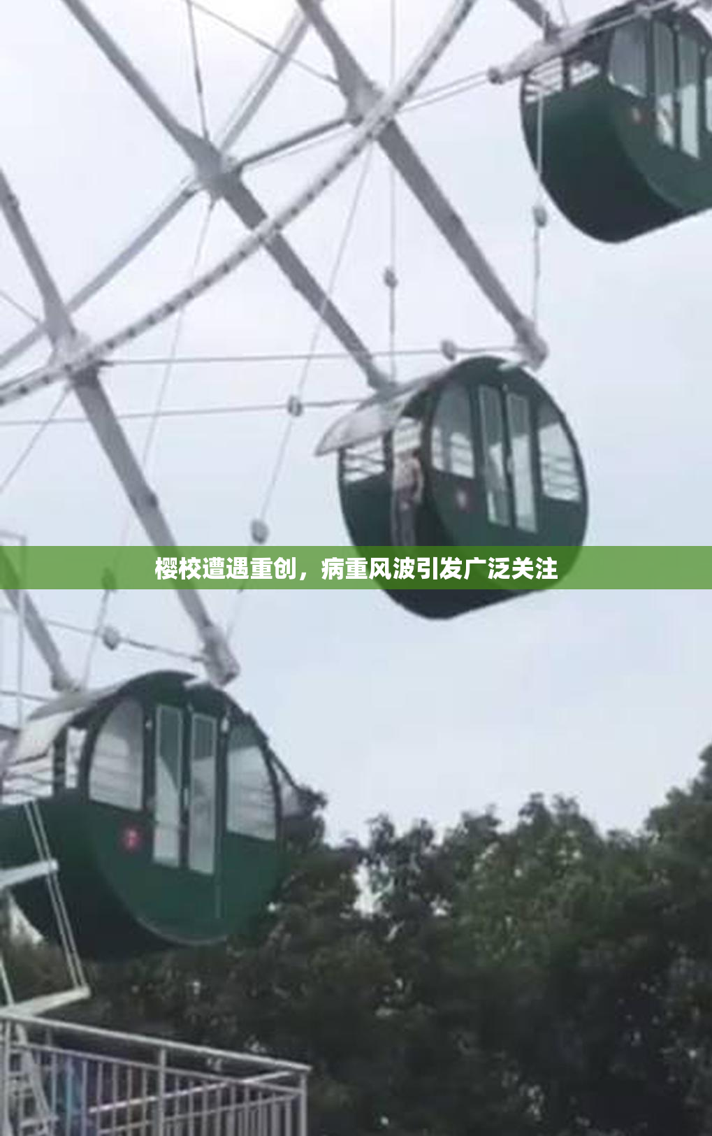樱校遭遇重创，病重风波引发广泛关注
