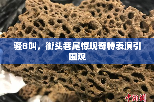 骚B叫，街头巷尾惊现奇特表演引围观