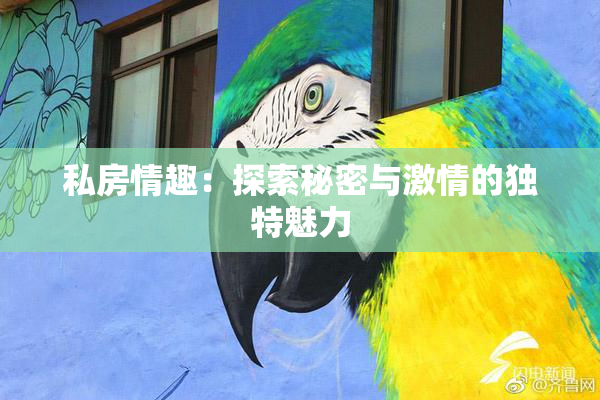 私房情趣：探索秘密与激情的独特魅力