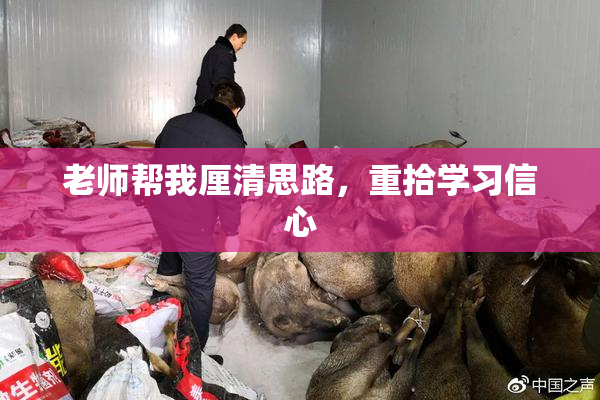 老师帮我厘清思路，重拾学习信心
