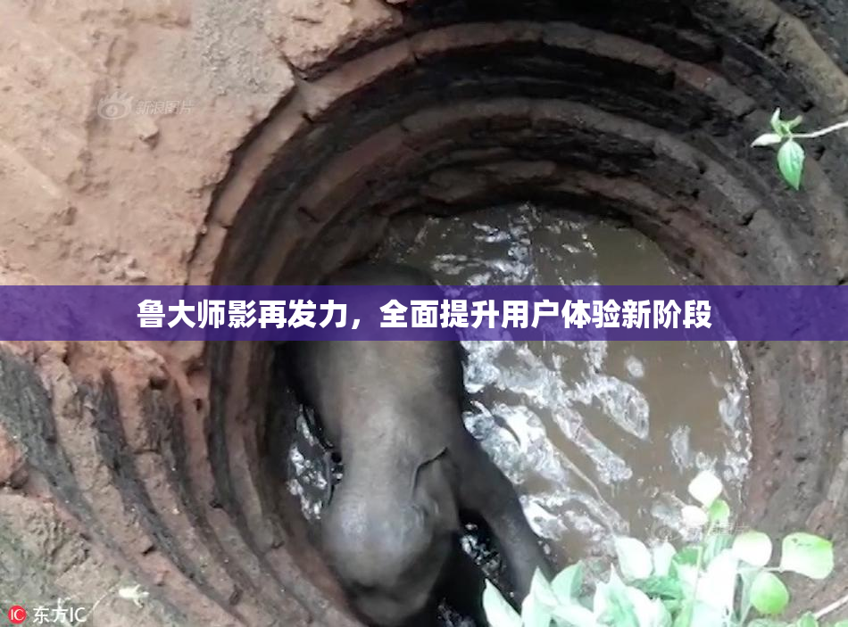 鲁大师影再发力，全面提升用户体验新阶段
