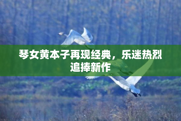 琴女黄本子再现经典，乐迷热烈追捧新作