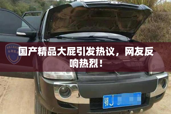 国产精品大屁引发热议，网友反响热烈！