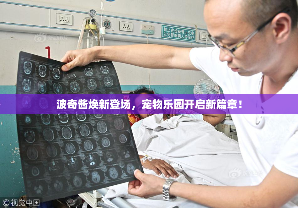 波奇酱焕新登场，宠物乐园开启新篇章！