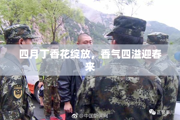 四月丁香花绽放，香气四溢迎春来