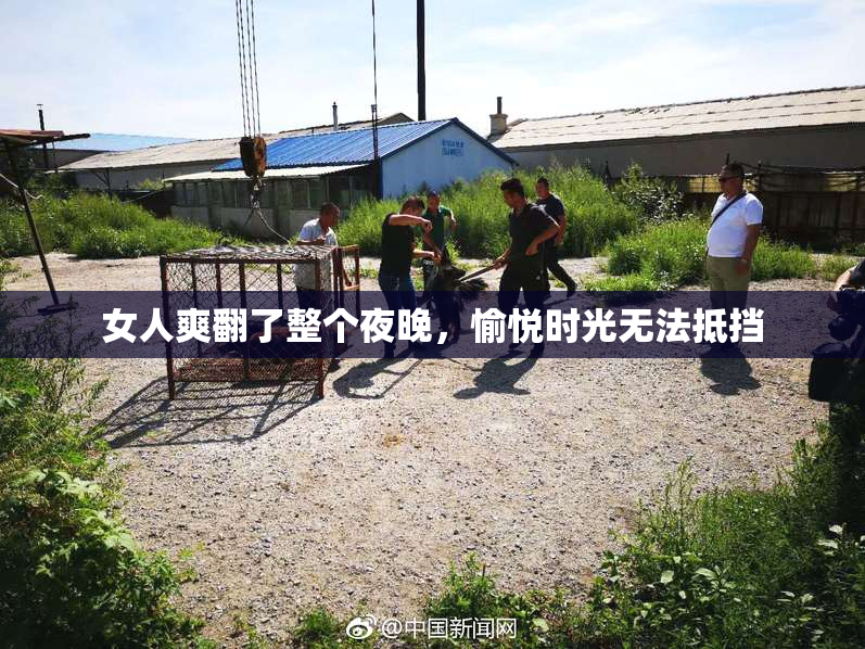 女人爽翻了整个夜晚，愉悦时光无法抵挡