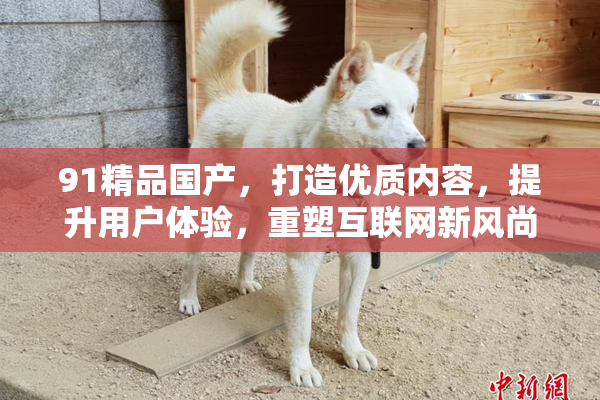 91精品国产，打造优质内容，提升用户体验，重塑互联网新风尚。