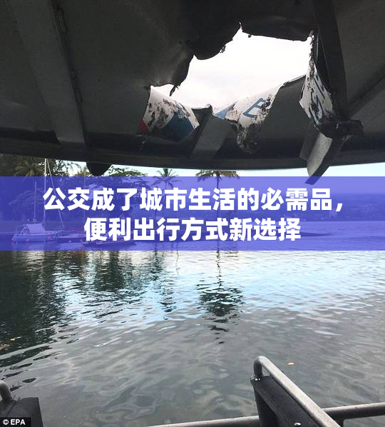 公交成了城市生活的必需品，便利出行方式新选择