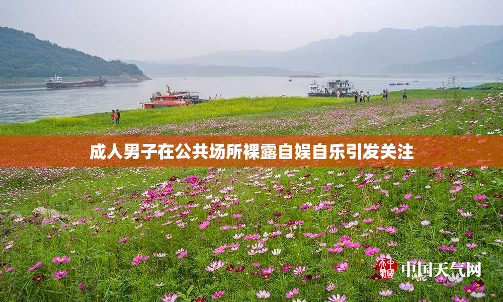 成人男子在公共场所裸露自娱自乐引发关注