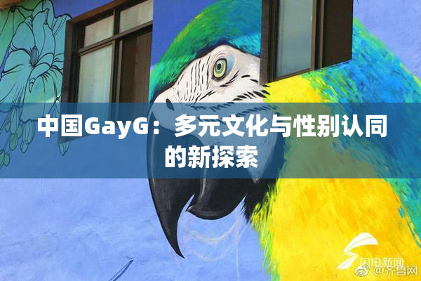 中国GayG：多元文化与性别认同的新探索