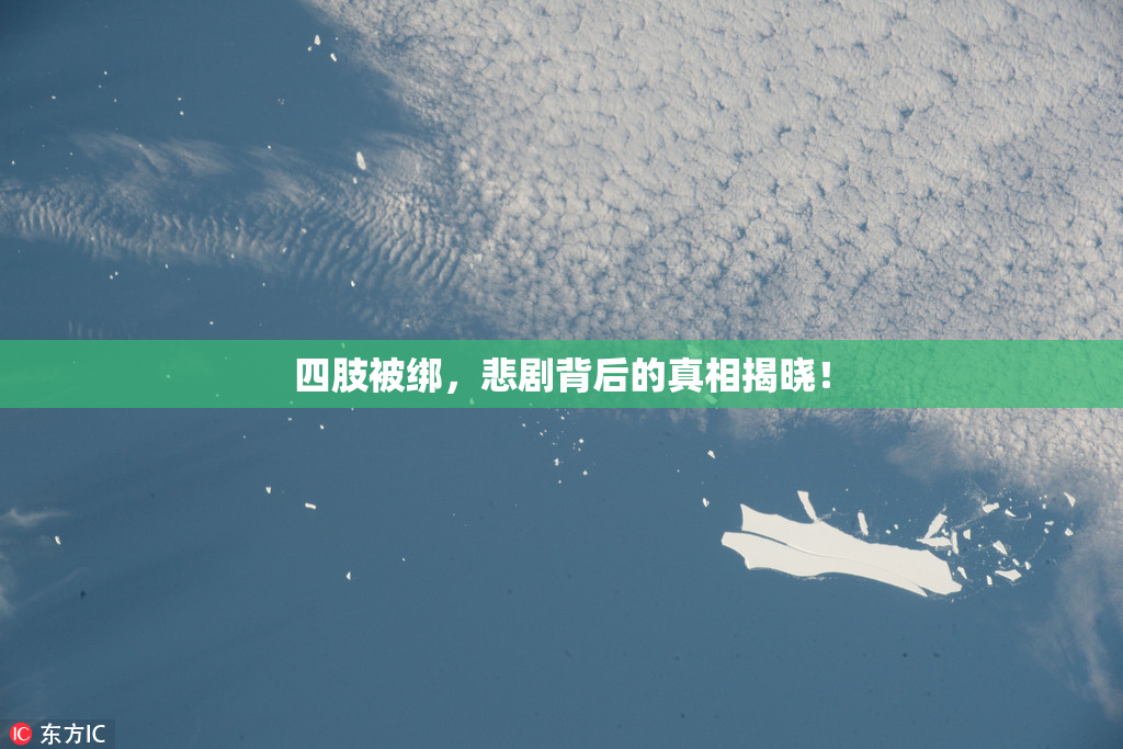 四肢被绑，悲剧背后的真相揭晓！