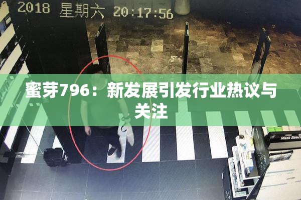 蜜芽796：新发展引发行业热议与关注