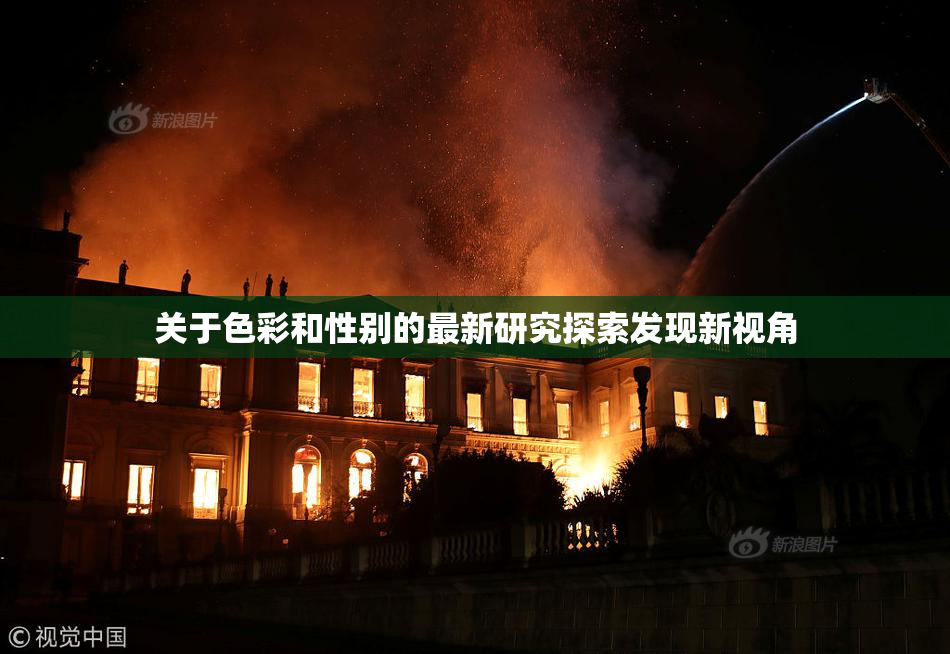 关于色彩和性别的最新研究探索发现新视角