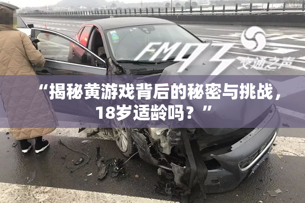“揭秘黄游戏背后的秘密与挑战，18岁适龄吗？”