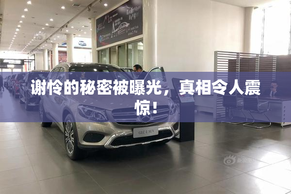 谢怜的秘密被曝光，真相令人震惊！