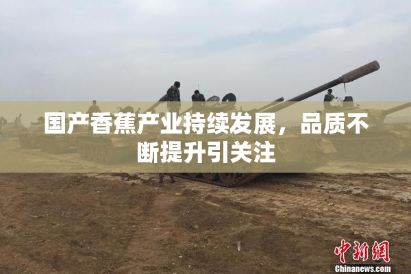国产香蕉产业持续发展，品质不断提升引关注