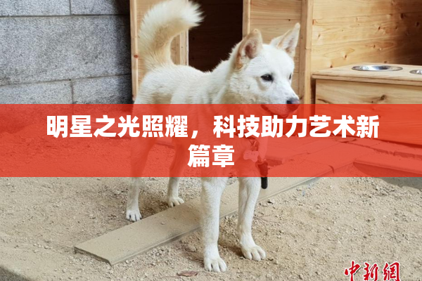 明星之光照耀，科技助力艺术新篇章