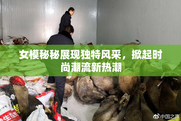 女模秘秘展现独特风采，掀起时尚潮流新热潮