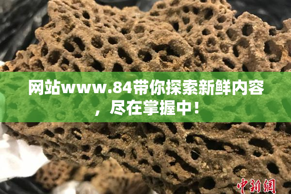 网站www.84带你探索新鲜内容，尽在掌握中！