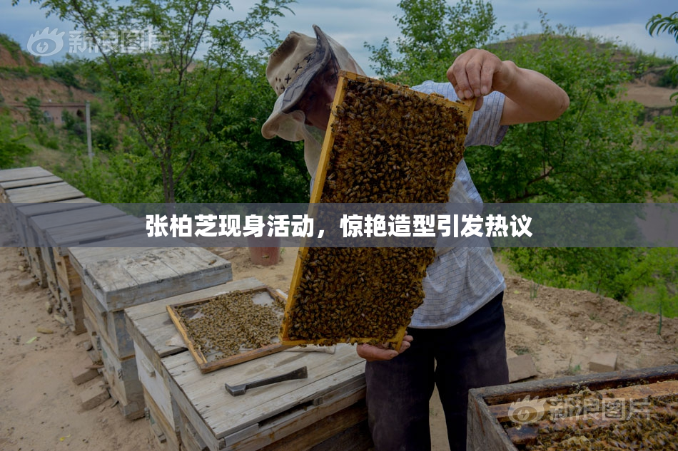 张柏芝现身活动，惊艳造型引发热议