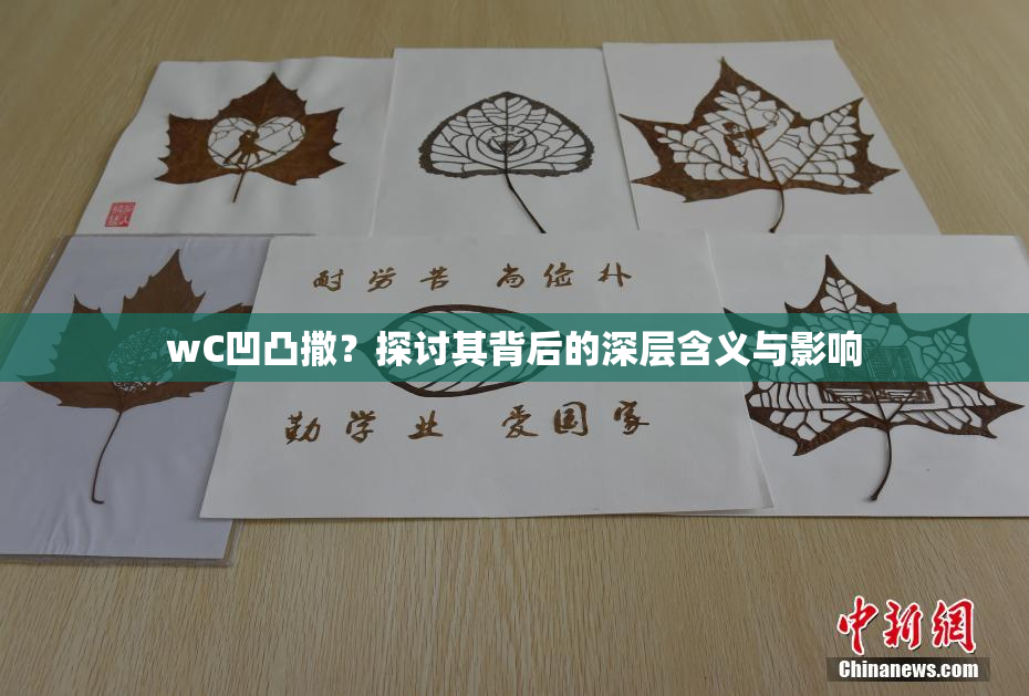 wC凹凸撒？探讨其背后的深层含义与影响