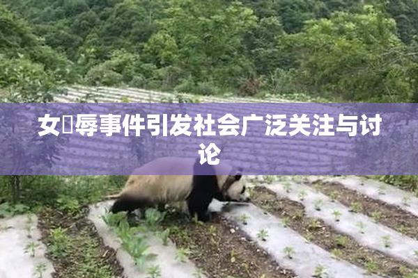 女婬辱事件引发社会广泛关注与讨论