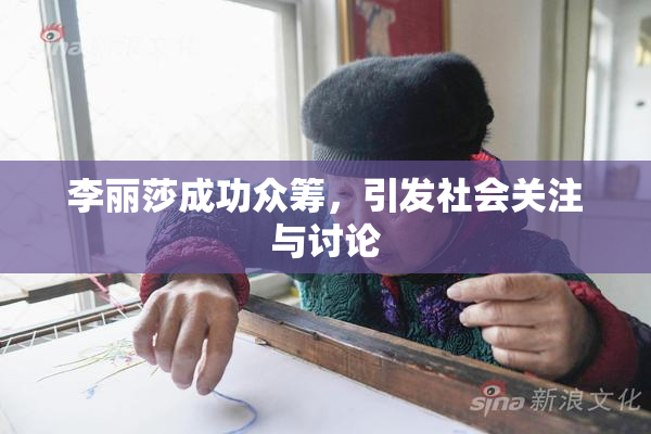 李丽莎成功众筹，引发社会关注与讨论
