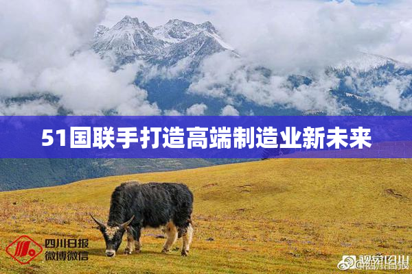 51国联手打造高端制造业新未来