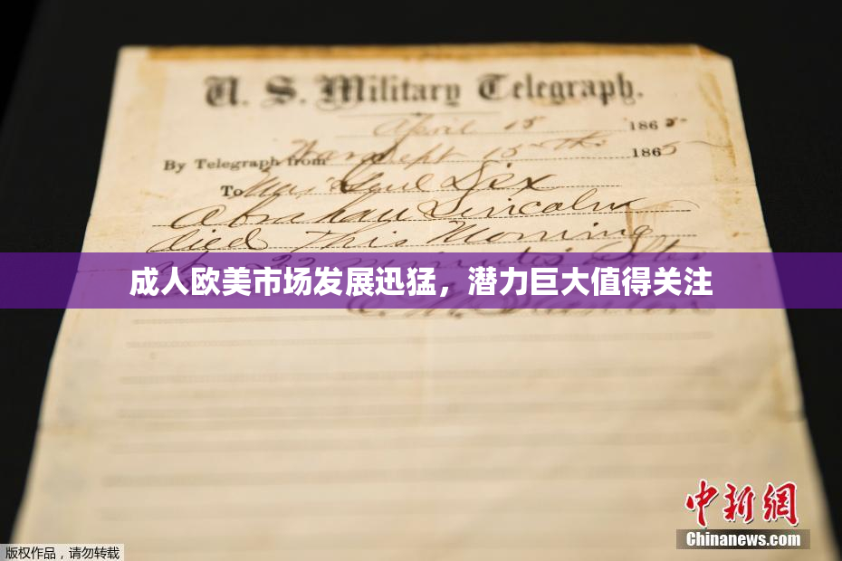 成人欧美市场发展迅猛，潜力巨大值得关注
