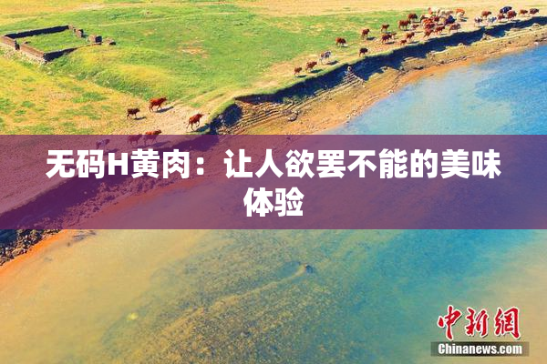 无码H黄肉：让人欲罢不能的美味体验
