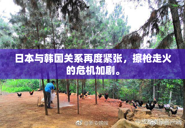日本与韩国关系再度紧张，擦枪走火的危机加剧。