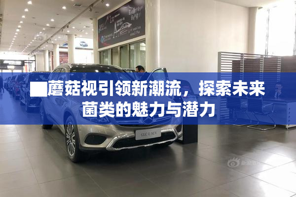▇蘑菇视引领新潮流，探索未来菌类的魅力与潜力