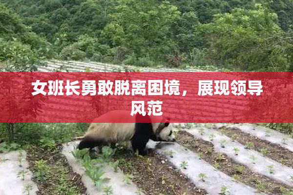 女班长勇敢脱离困境，展现领导风范