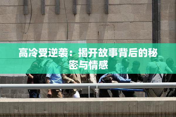 高冷受逆袭：揭开故事背后的秘密与情感