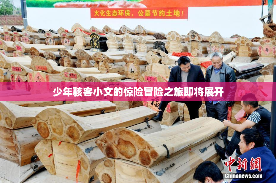 少年骇客小文的惊险冒险之旅即将展开