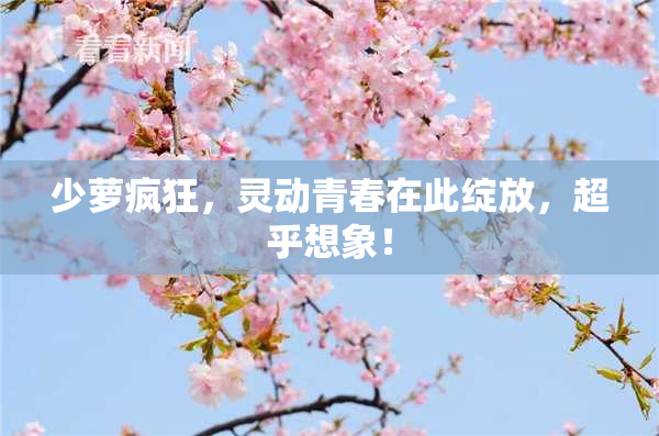少萝疯狂，灵动青春在此绽放，超乎想象！