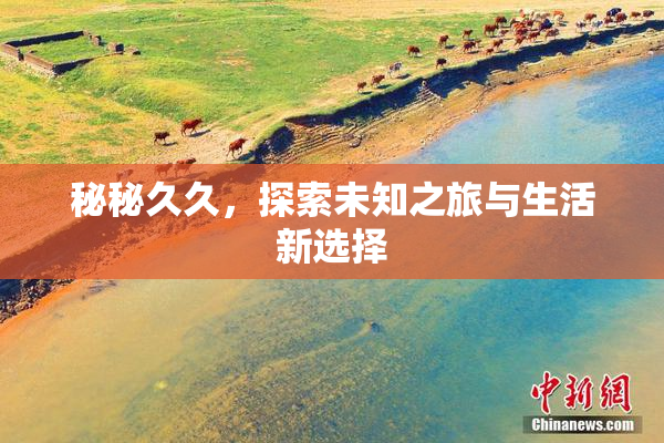 秘秘久久，探索未知之旅与生活新选择