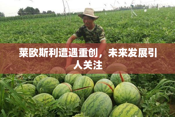 莱欧斯利遭遇重创，未来发展引人关注