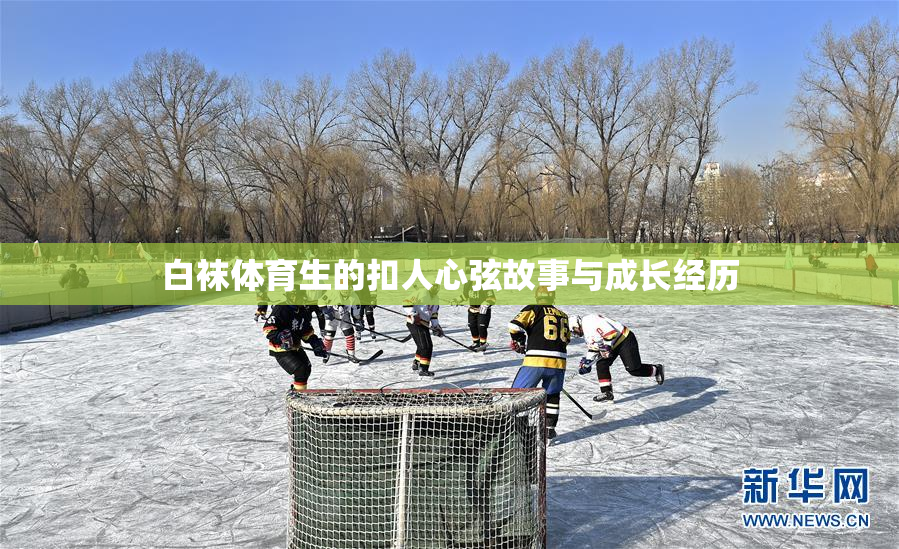 白袜体育生的扣人心弦故事与成长经历