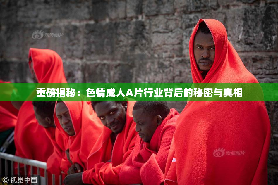 重磅揭秘：色情成人A片行业背后的秘密与真相