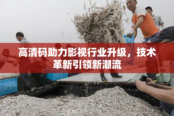高清码助力影视行业升级，技术革新引领新潮流