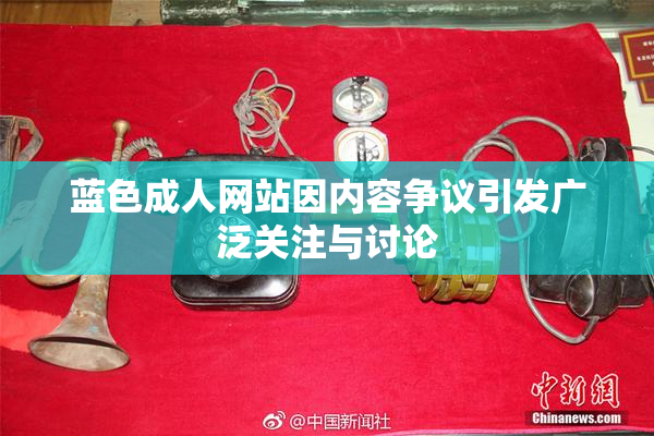 蓝色成人网站因内容争议引发广泛关注与讨论