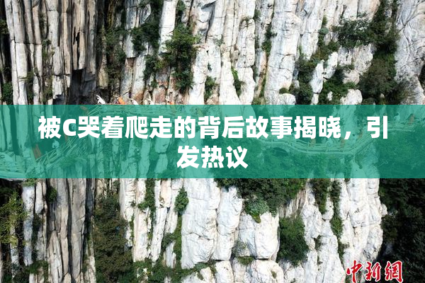 被C哭着爬走的背后故事揭晓，引发热议
