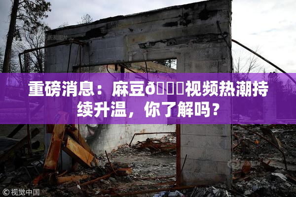 重磅消息：麻豆🔞视频热潮持续升温，你了解吗？