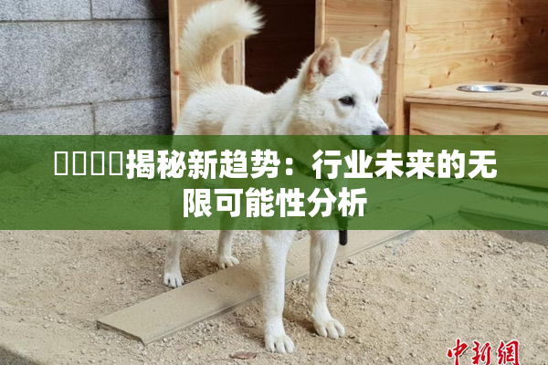 馃悢馃悢揭秘新趋势：行业未来的无限可能性分析