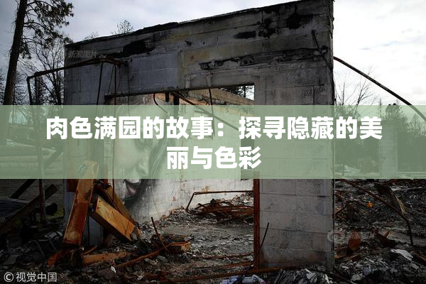 肉色满园的故事：探寻隐藏的美丽与色彩